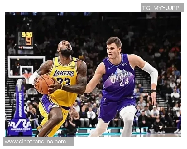 森林里与湖人之间的较量探秘篮球与自然的奇妙交融