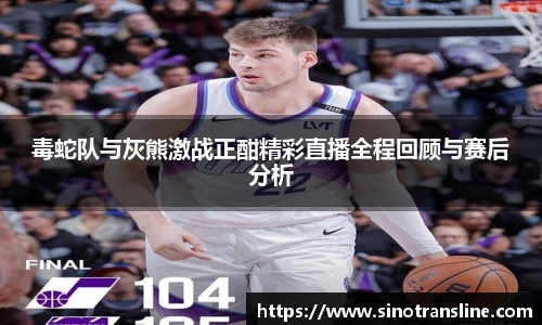 毒蛇队与灰熊激战正酣精彩直播全程回顾与赛后分析